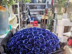 -朝来春花卉市场