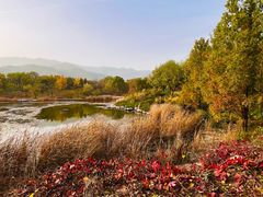-国家植物园南园