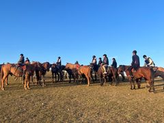 -额尔古纳黑山头绿野马帮骑马场