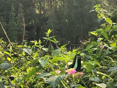 -重庆彩云湖湿地公园