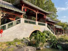 -广州神农草堂中医药博物馆