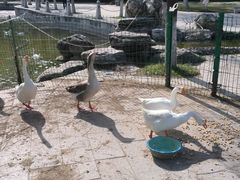 -长安大学(北校区)