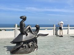 -广东惠东海龟国家级自然保护区