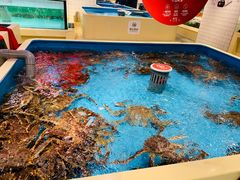 -日进一片海.生腌海鲜火锅.宵夜烧烤(三里屯总店)