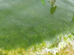 -那香海钻石沙滩浴场