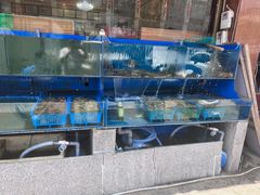 -北方饺子王·海肠捞饭·海鲜锅(山大店)