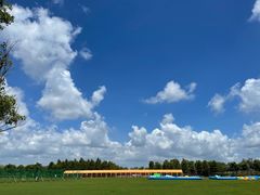 -春花秋色城市公园