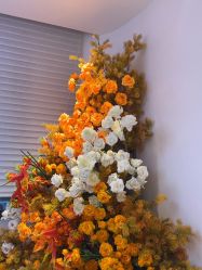 -WENDY·温迪皮肤管理