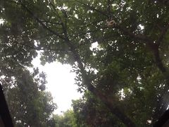 景点-广州都市观光巴士(粤陶巴)