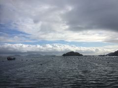 -枸杞岛