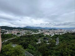 -福道