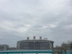 -老妈宫粽球