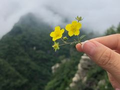-牛背梁国家森林公园