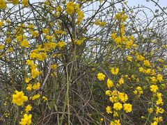 -南通博物苑-崇川人民公园