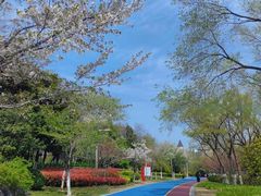 -云龙湖旅游景区