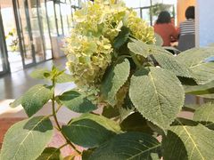 -山下C5cafe(惠通时代广场店)