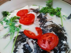 -全乐鱼馆·淳牌有机鱼直营店