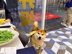 -食大利香港茶餐厅(南亚风情第一城店)