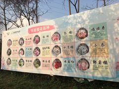 -天适樱花悠乐园