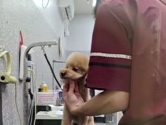-宠物家(角门东店)