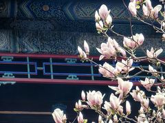 -潭柘寺景区