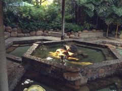 -厦门日月谷温泉渡假村