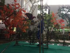 -哈尔滨北方森林动物园