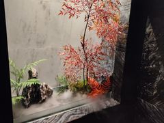 -阿五黄河大鲤鱼(纬三路店)