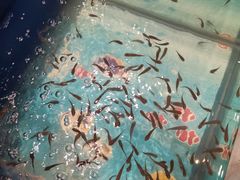 -钓鱼岛洗浴休闲会馆(卫星路店)