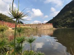 -广州市石门国家森林公园