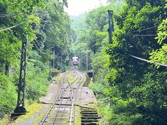 -神户市立六甲山牧场