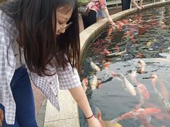 -国色天乡三期陆地乐园