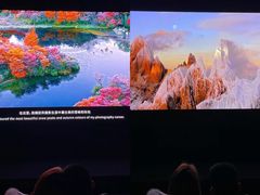 -罗红摄影艺术馆