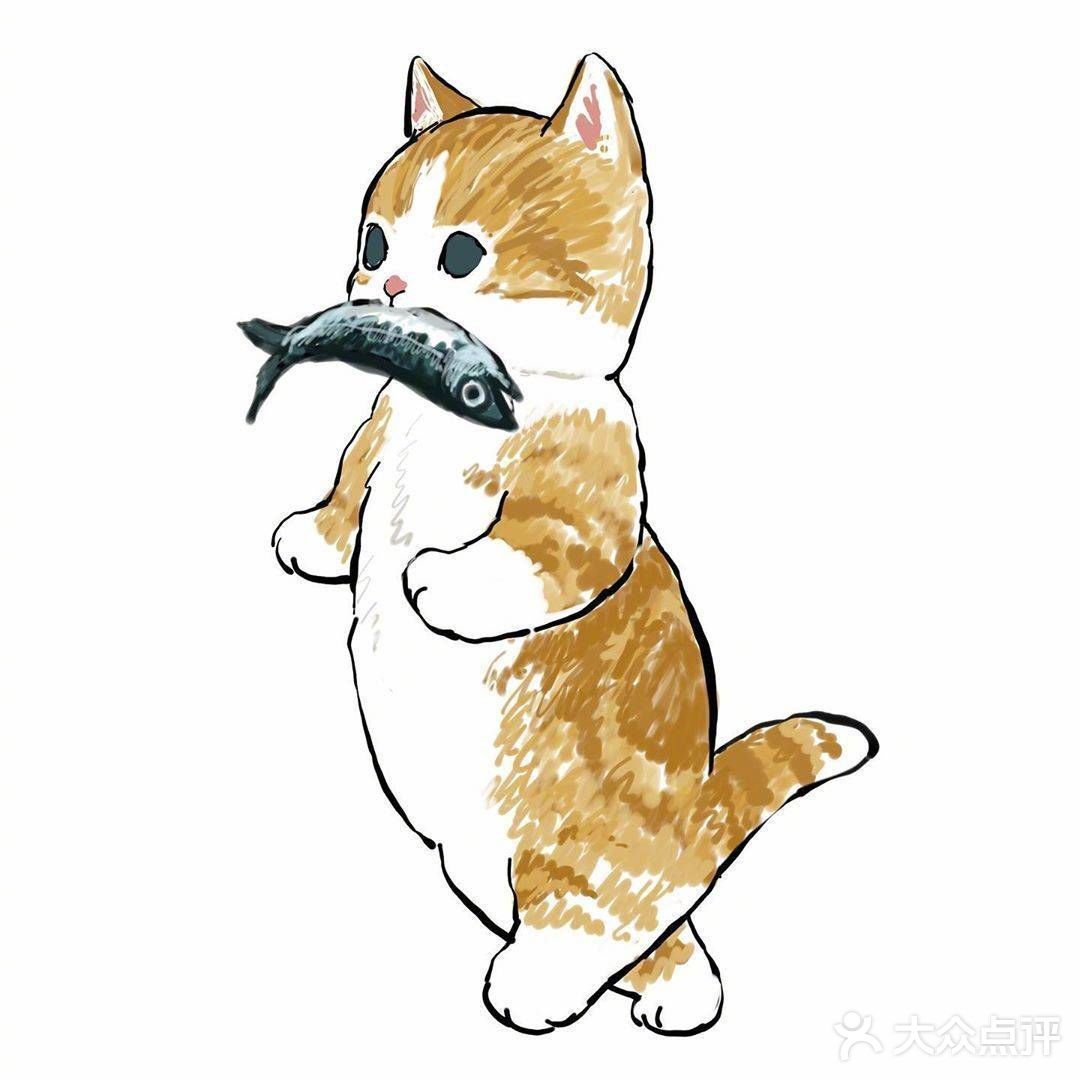 注意！前方有猫咪出没