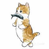 注意！前方有猫咪出没