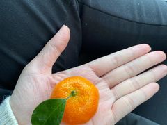 -新辣宴·湖南家常菜·商务聚餐(中粮创芯店)