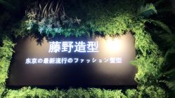 点击看大图 -藤野造型