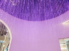 -赵小姐丨新中餐(曲江店)