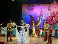 -金东尼人妖秀