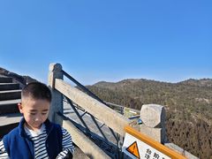 -玉苍山国家森林公园