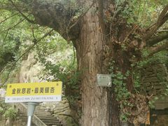 -大慈岩风景区