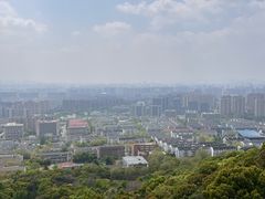 -杭州半山国家森林公园