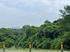 -敬亭山风景名胜区