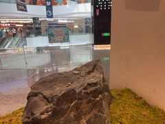 -月龍吟(朝龙汇店)