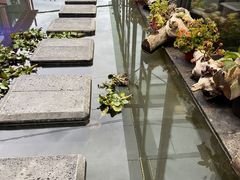 -阿西土陶牦牛汤锅