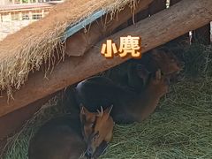 -昆明动物园