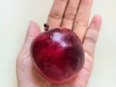 -盒马鲜生(红莲店)