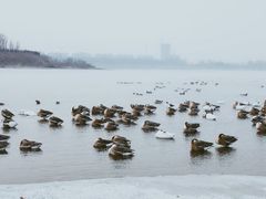 -沈阳市东陵公园
