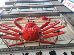 -蟹道乐(道顿堀本店)