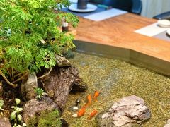 -森味薪火烧•烧鸟居酒屋•日本料理(望京店)
